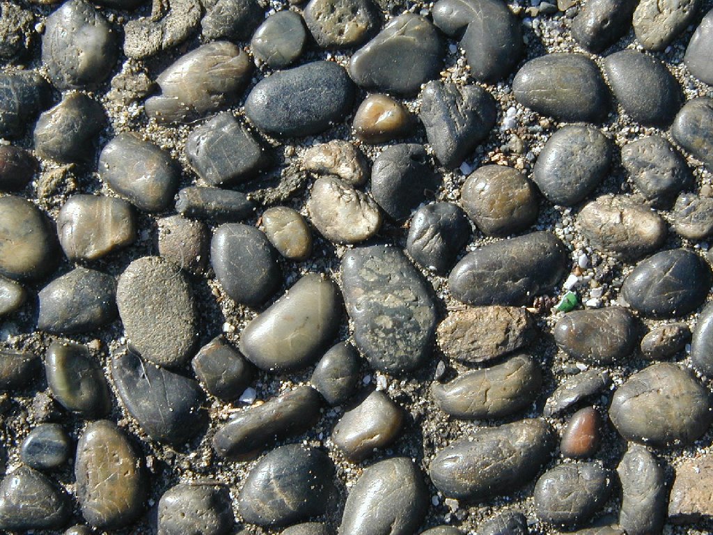 ʌ܎s - HʁEǖ - ʐ^f - ݃{