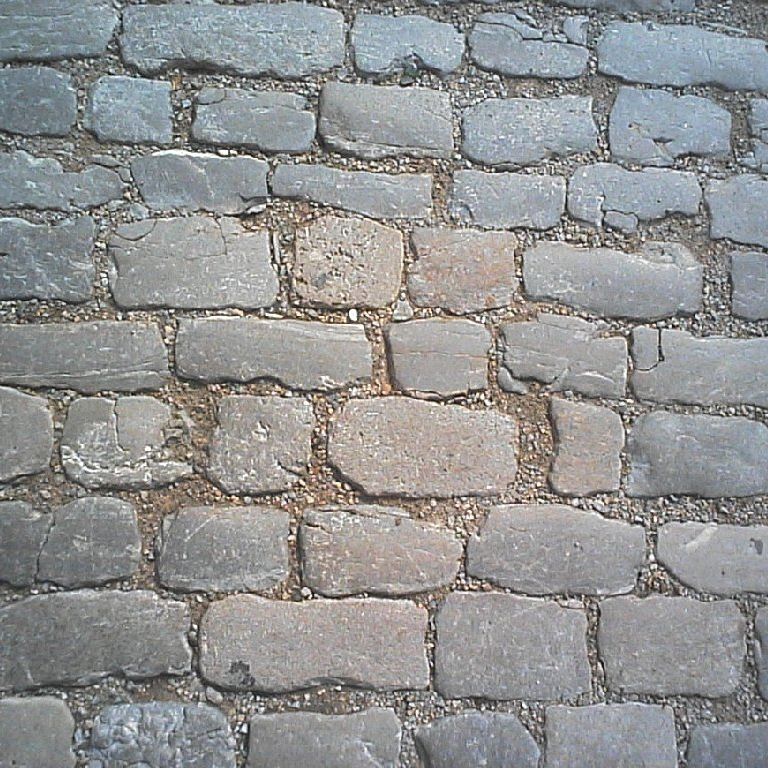 hCcEΏ - HʁEǖ - ʐ^f - ݃{