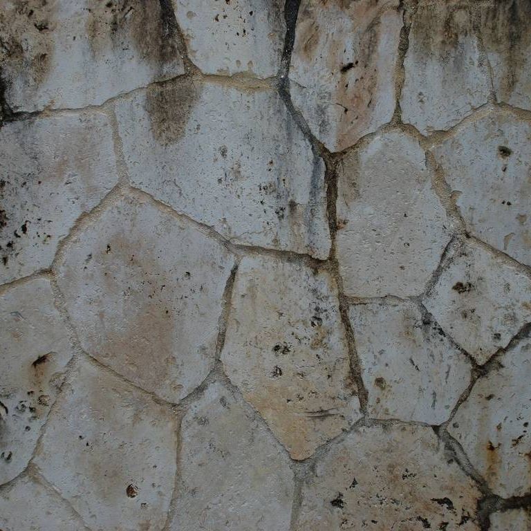ꌧsECRiߕ - HʁEǖ - ʐ^f - ݃{
