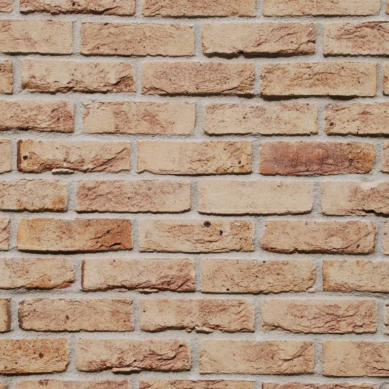 ʌzJsEo˒ - HʁEǖ - ʐ^f - ݃{