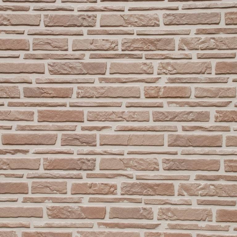 ʌzJsEo˒ - HʁEǖ - ʐ^f - ݃{