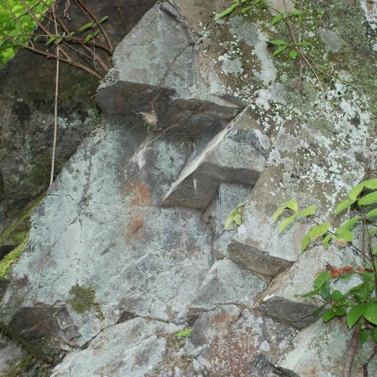 s - HʁEǖ - ʐ^f - ݃{