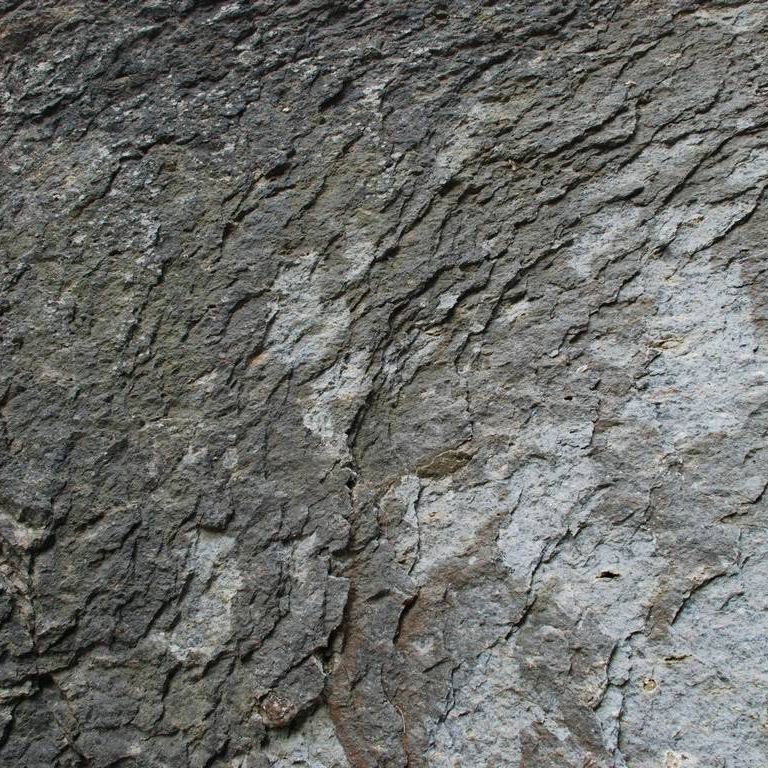 QnȆ - HʁEǖ - ʐ^f - ݃{