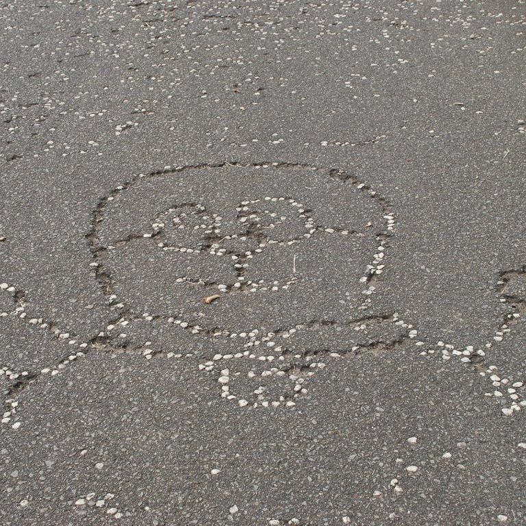 RRsEwnCLO - HʁEǖ - ʐ^f - ݃{