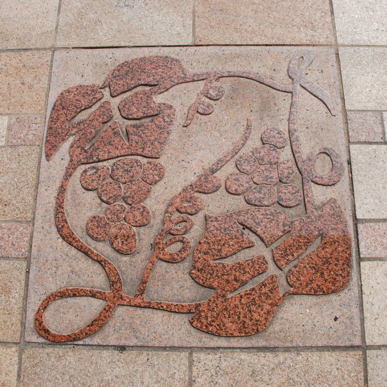 RRsEwnCLO - HʁEǖ - ʐ^f - ݃{