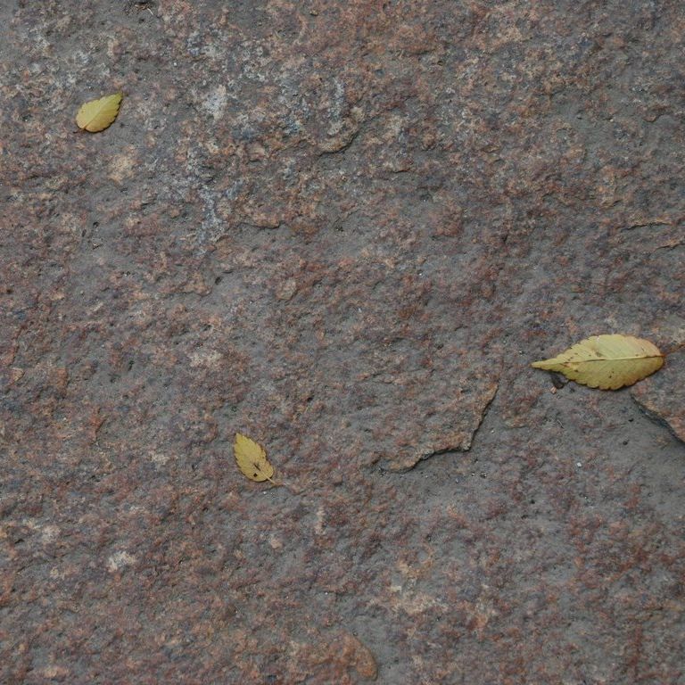 _ސ쌧Em - HʁEǖ - ʐ^f - ݃{