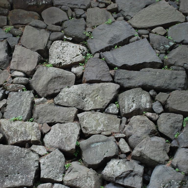 scEc - HʁEǖ - ʐ^f - ݃{