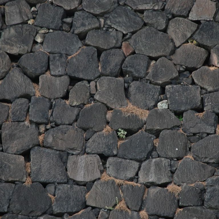 scEc - HʁEǖ - ʐ^f - ݃{