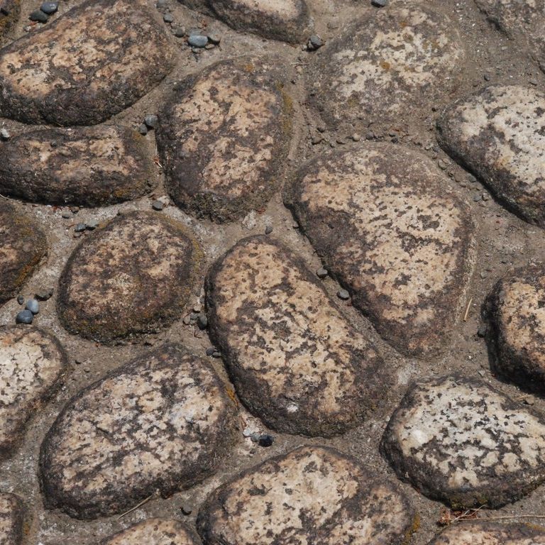 s`Eŗ{ - HʁEǖ - ʐ^f - ݃{