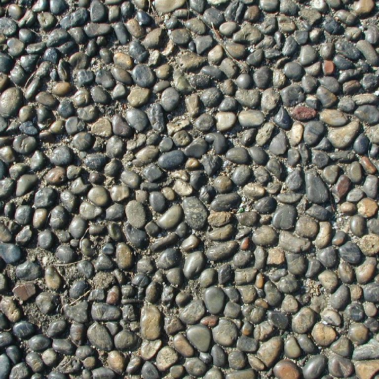 ʌ܎s - HʁEǖ - ʐ^f - ݃{