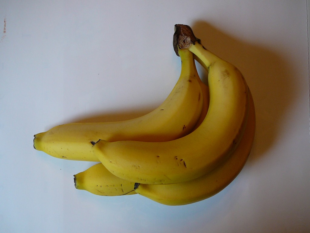 ʌzJsEoii - H - ʐ^f - ݃{
