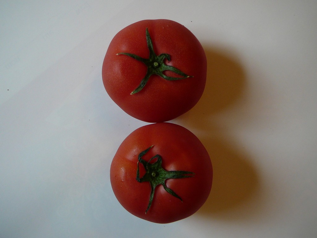 ʌzJsEg}g - H - ʐ^f - ݃{