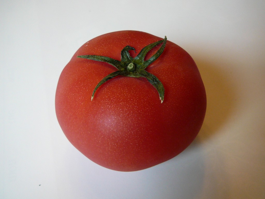 ʌzJsEg}g - H - ʐ^f - ݃{