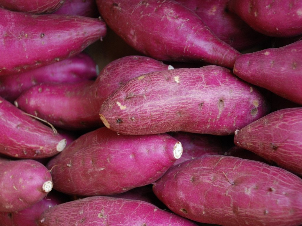 msEmUaفE܂ - H - ʐ^f - ݃{