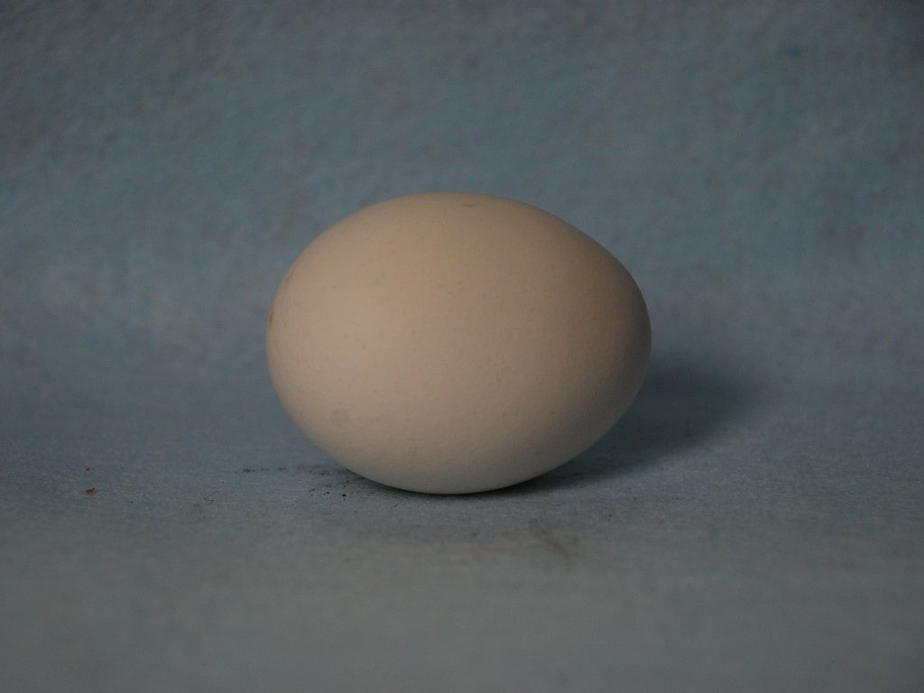 ʌzJsEʎq - H - ʐ^f - ݃{