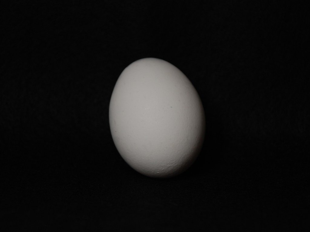 ʌzJsEʎq - H - ʐ^f - ݃{