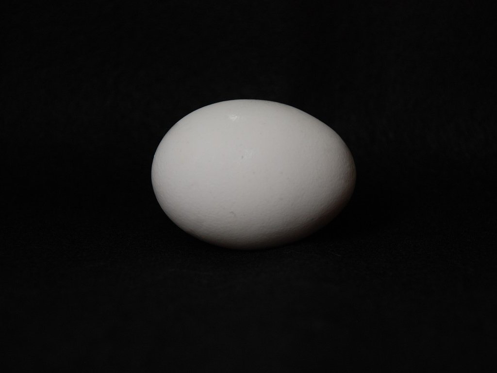 ʌzJsEʎq - H - ʐ^f - ݃{