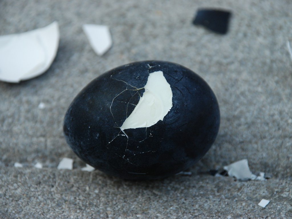 _ސ쌧EOJE܂ - H - ʐ^f - ݃{