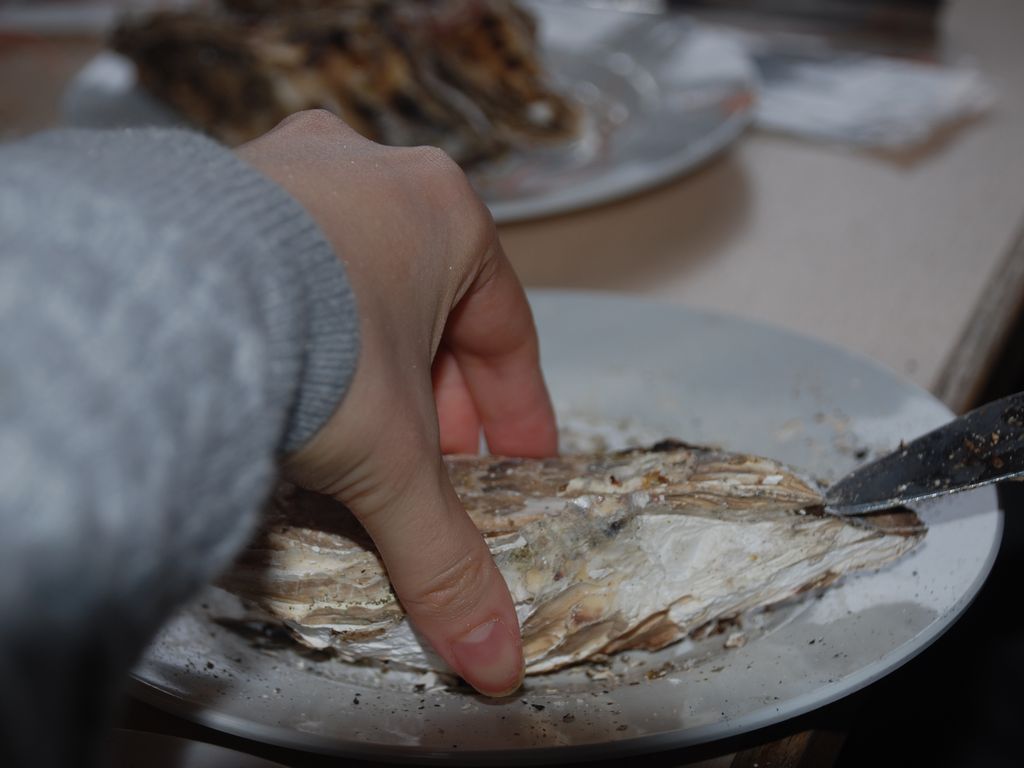 txÎsEl - H - ʐ^f - ݃{