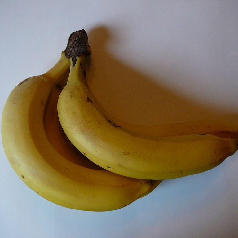 ʌzJsEoii - H - ʐ^f - ݃{