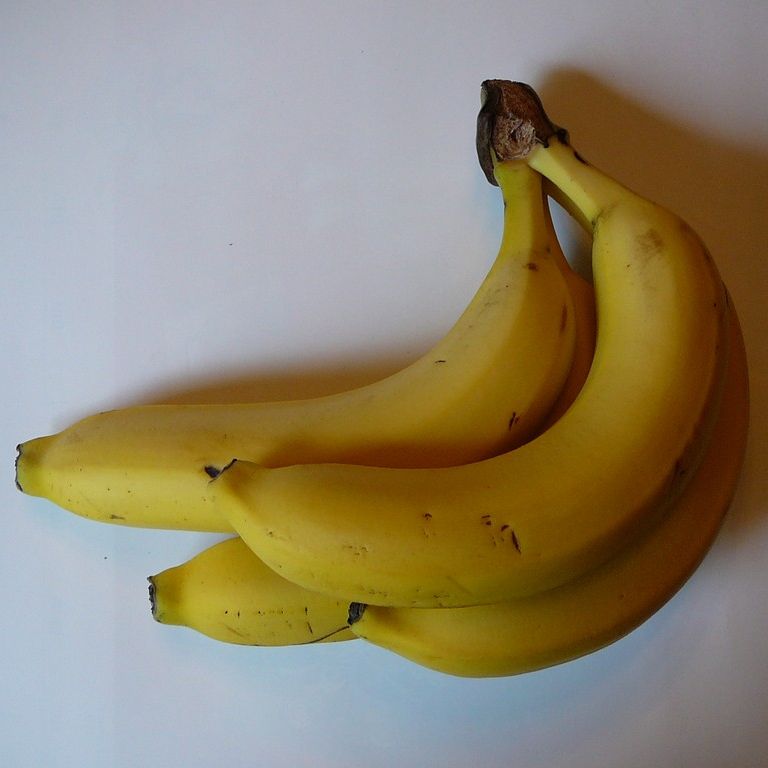 ʌzJsEoii - H - ʐ^f - ݃{