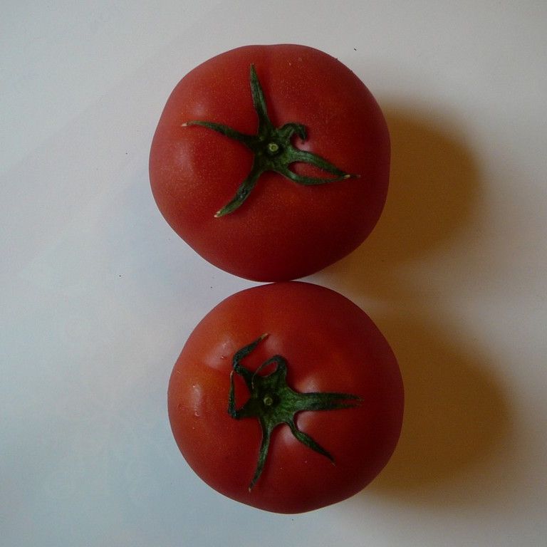 ʌzJsEg}g - H - ʐ^f - ݃{