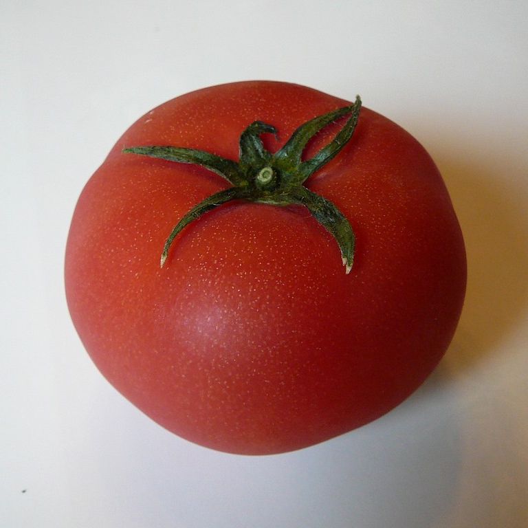 ʌzJsEg}g - H - ʐ^f - ݃{
