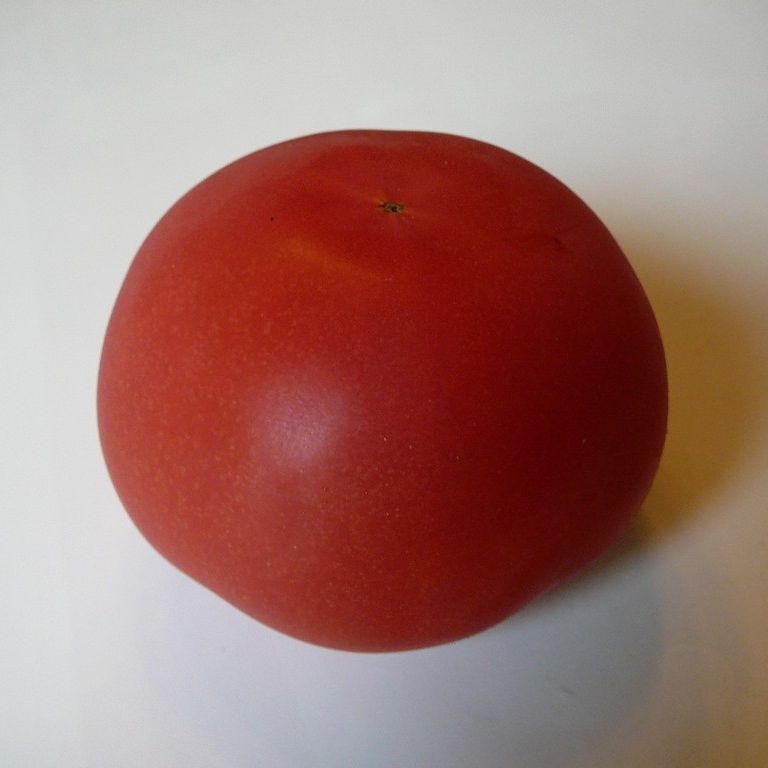 ʌzJsEg}g - H - ʐ^f - ݃{