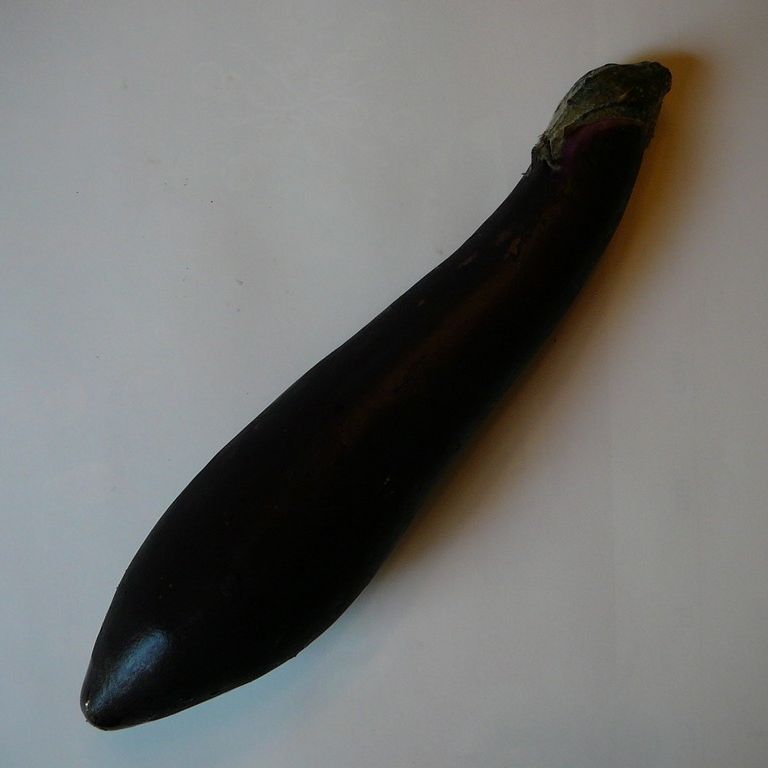 ʌzJsEiX - H - ʐ^f - ݃{