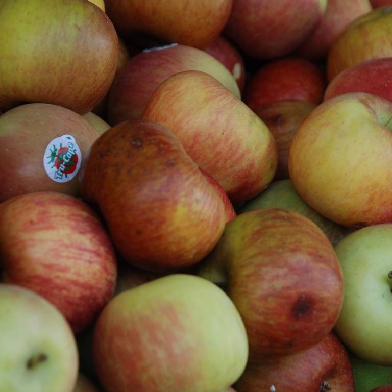 VK|[̃gECfBA̓Xɕł - H - ʐ^f - ݃{