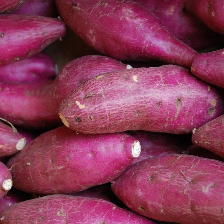 msEmUaفE܂ - H - ʐ^f - ݃{