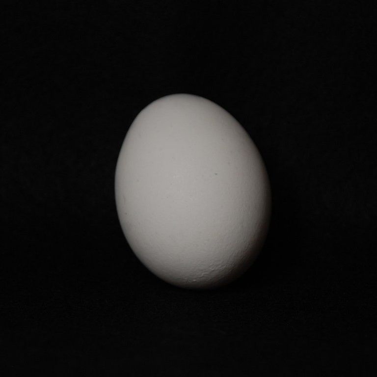ʌzJsEʎq - H - ʐ^f - ݃{