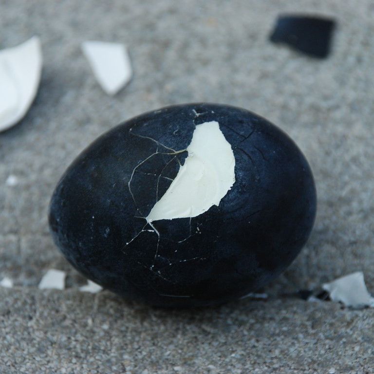 _ސ쌧EOJE܂ - H - ʐ^f - ݃{