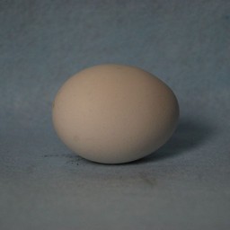 玉子