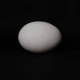 玉子
