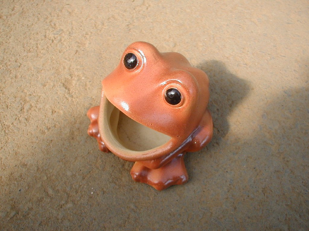 ̂ - ̑ - ʐ^f - ݃{