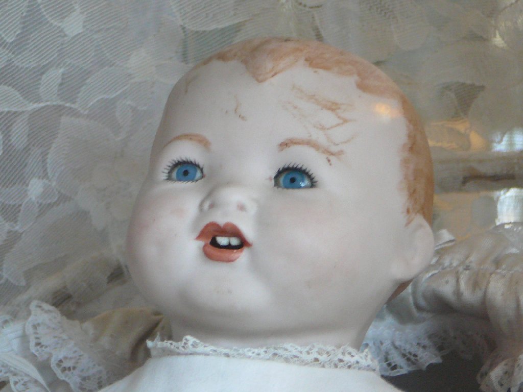 ÉɓE̗ - ̑ - ʐ^f - ݃{