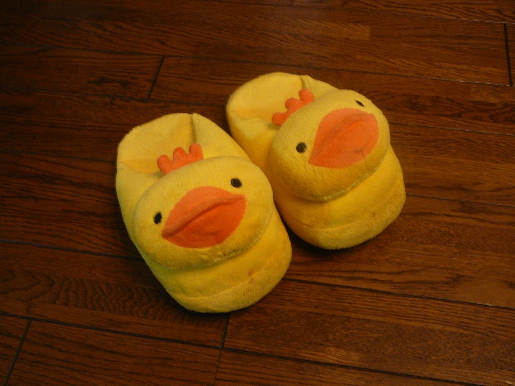 Xbp - ̑ - ʐ^f - ݃{