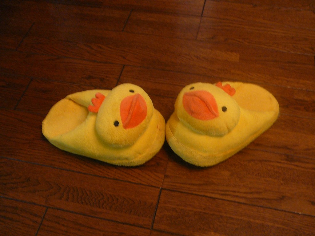 Xbp - ̑ - ʐ^f - ݃{