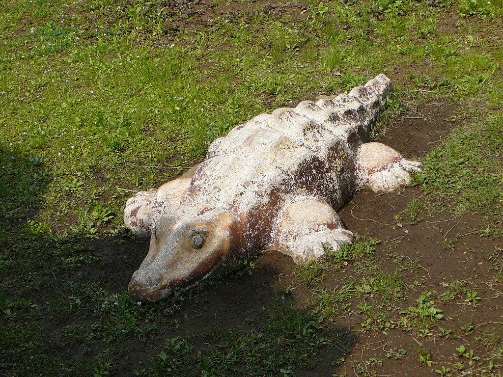 ʌ܎sEEj - ̑ - ʐ^f - ݃{