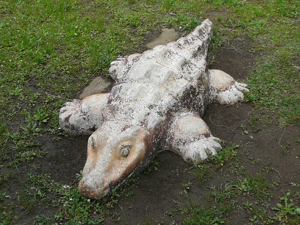 ʌ܎sEEj - ̑ - ʐ^f - ݃{