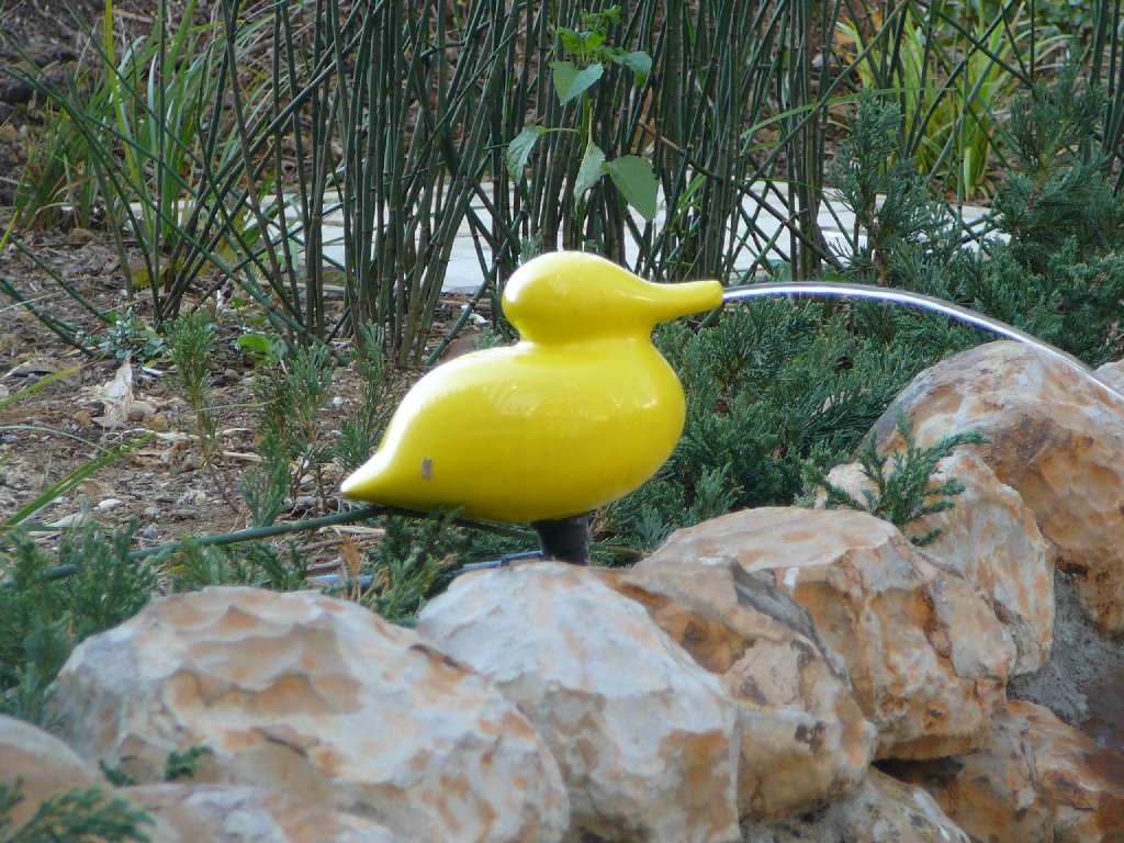 ʌzJsECN^EEAq - ̑ - ʐ^f - ݃{