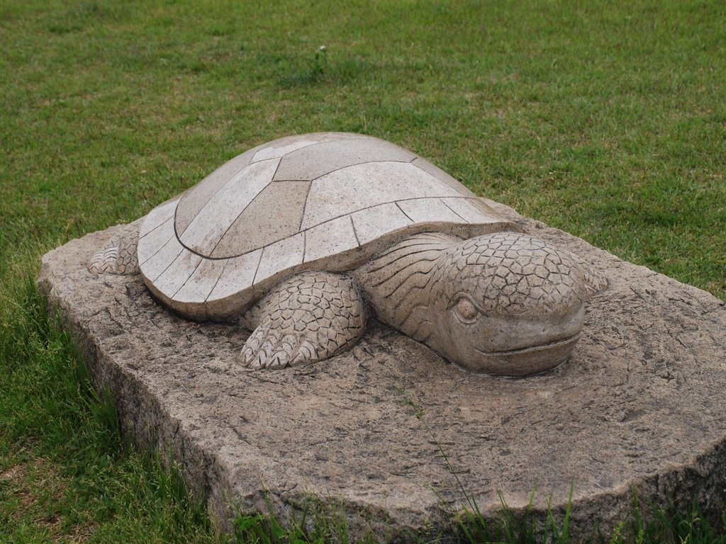 ʌsEcn - ̑ - ʐ^f - ݃{
