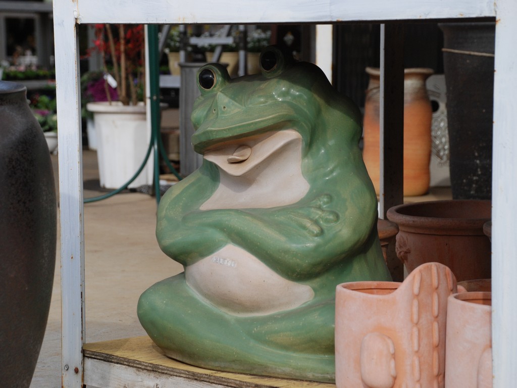 ʌssEJG - ̑ - ʐ^f - ݃{