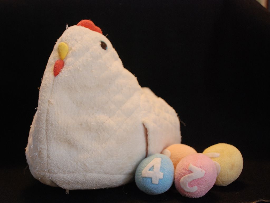 ʌzJsEjg - ̑ - ʐ^f - ݃{