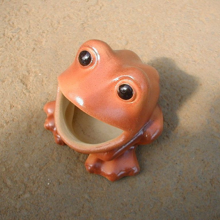 ̂ - ̑ - ʐ^f - ݃{