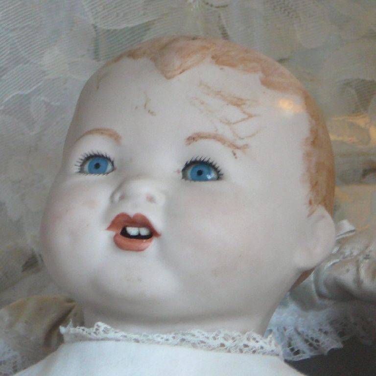 ÉɓE̗ - ̑ - ʐ^f - ݃{
