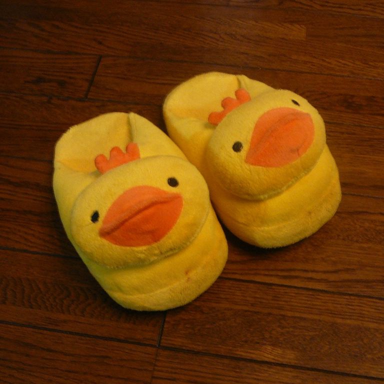Xbp - ̑ - ʐ^f - ݃{