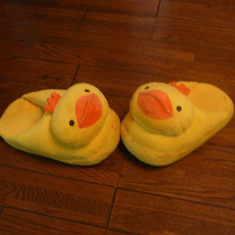 Xbp - ̑ - ʐ^f - ݃{