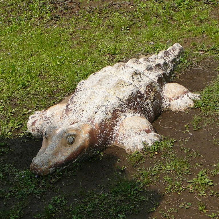 ʌ܎sEEj - ̑ - ʐ^f - ݃{